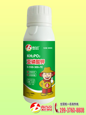 微生物菌肥與調(diào)節(jié)功能肥的應(yīng)用價值及生物技術(shù)推廣服務(wù)展望